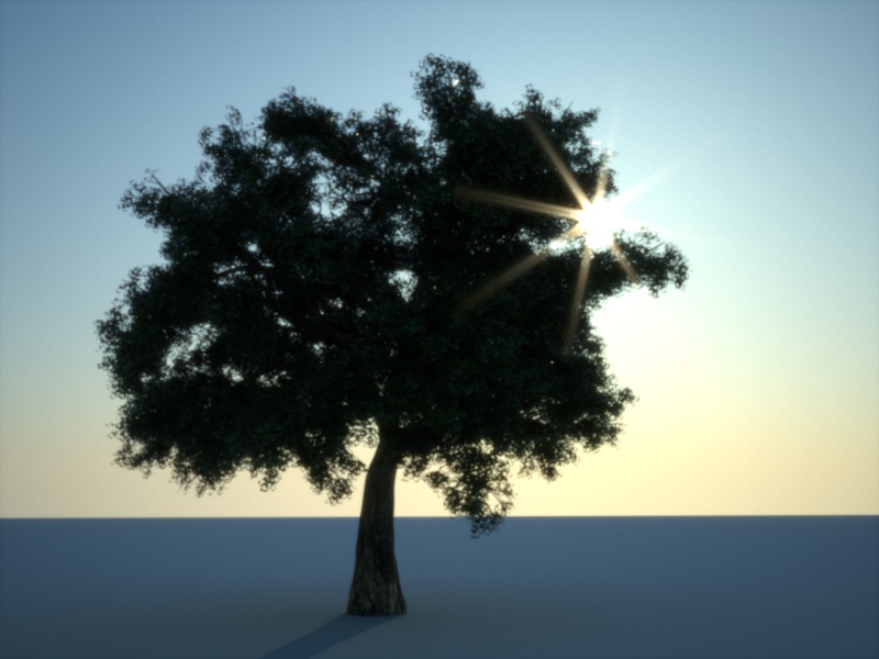 Tree.jpg