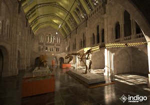 museum_sun.jpg (316.38 KiB) Viewed 4452 times museum_sun.jpg
