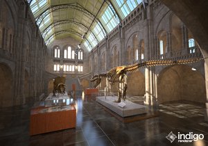museum_all.jpg (282.46 KiB) Viewed 4452 times museum_all.jpg