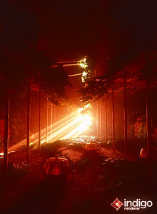 interiorivy_red.jpg
