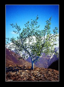 0122.jpg (229.35 KiB) Viewed 3178 times 0122.jpg