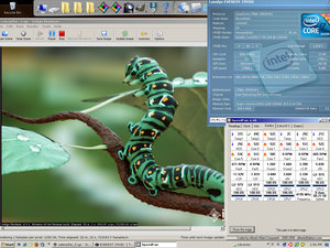 CCJ_Caterpilla_Indigo@4.2ghz.jpg
