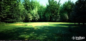 environment 1.jpg