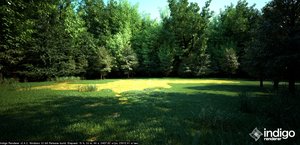 environment 1a.jpg