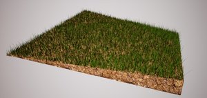 grass_1.jpg