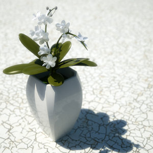 im1278084856.jpg (279.4 KiB) Viewed 3339 times im1278084856.jpg