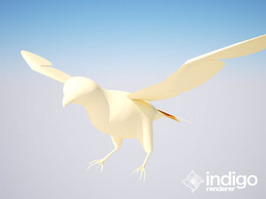 bird_[7_24_2010_7_02_24_PM].jpg