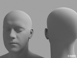 subdiv.jpg (607.71 KiB) Viewed 7888 times subdiv.jpg