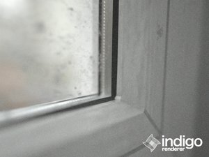 window.jpg