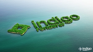 indigo_logoscatter_1-scene1.jpg