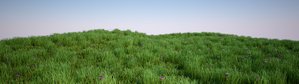 10_grass.jpg (107.13 KiB) Viewed 4644 times 10_grass.jpg