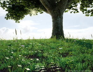 grass with tree.jpg (866.82 KiB) Viewed 5460 times grass with tree.jpg