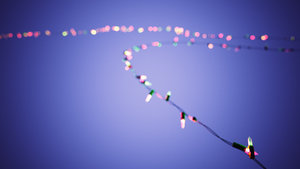 indigo_Christmaslights_2-scene.jpg