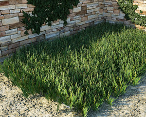 Grass5.jpg