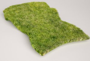 grass3a.jpg