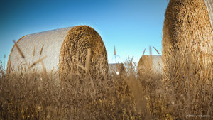 heuballen-test_08.jpg