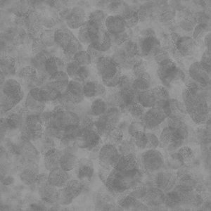fingerprint_bump.jpg (263.46 KiB) Viewed 8443 times fingerprint_bump.jpg