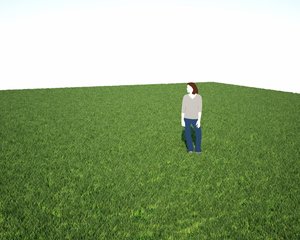 Grass test.jpg