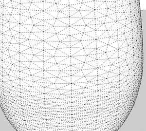 mesh_02.jpg