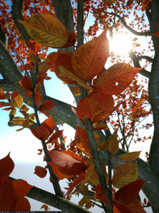 Tree_test_3.4.7_AD_post.jpg