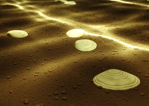 new kodachrome 200CD layer modified.jpg