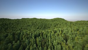 mass_instances_indigo_70k_mb.jpg (2.02 MiB) Viewed 5343 times mass_instances_indigo_70k_mb.jpg