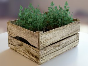 Obstkorb mit Petersilie.jpg (443.35 KiB) Viewed 5745 times Obstkorb mit Petersilie.jpg