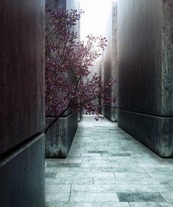 559.jpg (2.77 MiB) Viewed 27013 times 559.jpg