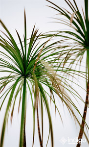 13 (0;00;00;00).jpg (642.78 KiB) Viewed 89285 times 13 (0;00;00;00).jpg