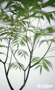 18 (0;00;00;00).jpg (521.85 KiB) Viewed 89285 times 18 (0;00;00;00).jpg