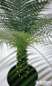 15 (0;00;00;00).jpg (667.21 KiB) Viewed 89206 times 15 (0;00;00;00).jpg