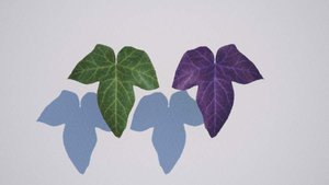 23ivy1.jpg (20.73 KiB) Viewed 16293 times 23ivy1.jpg