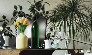 7 (0;00;00;00).jpg (531.19 KiB) Viewed 88877 times 7 (0;00;00;00).jpg