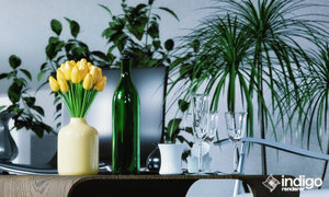 1 (0;00;00;00).jpg (558.11 KiB) Viewed 88957 times 1 (0;00;00;00).jpg