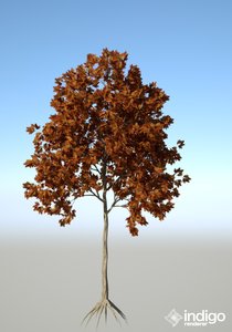 tree 3d.jpg