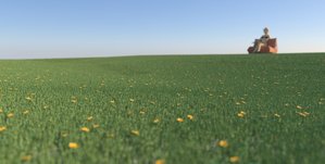 2nd grass.jpg