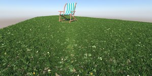 Sams Lawn Rough with daisys.jpg