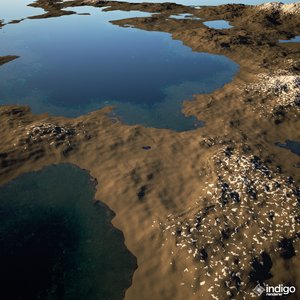 coast erosion with water - 2.jpg