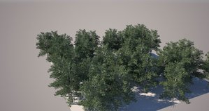 scatter-test.jpg