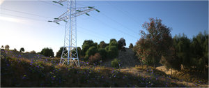 laubwerk test 02.jpg