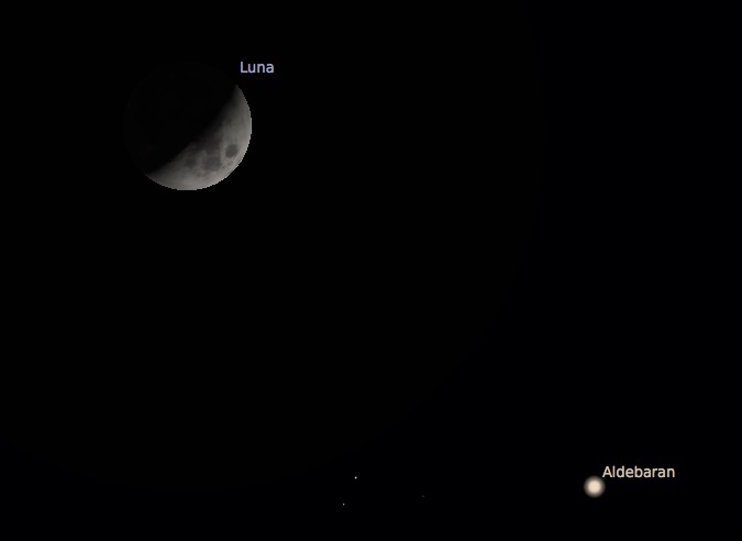 moon.jpg
