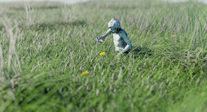 Grass_filmic.jpg