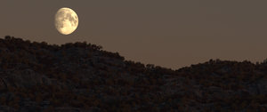 landscape_Aj_2.jpg
