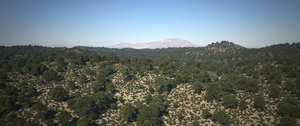 landscape_Ai.jpg