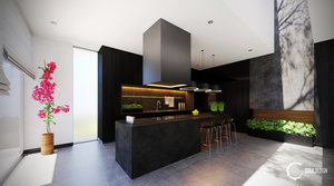 Daylight Kitchen INDIGO.jpg