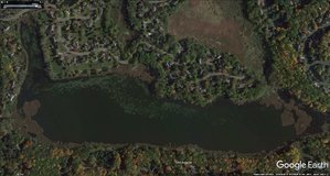 google-earth-aerial-all-of-silver-lake.jpg