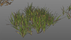 screen_grass_lod0.jpg