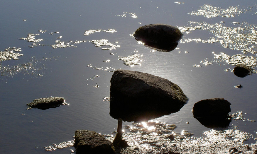 webPICT1679water_2.JPG