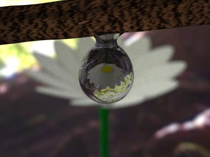 Flower3.jpg
