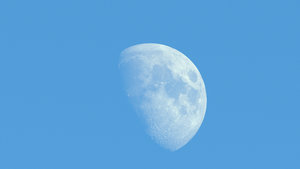 Reintegration_04_03_Moon.jpg